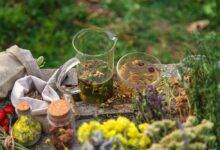 Piante medicinali per raffreddore