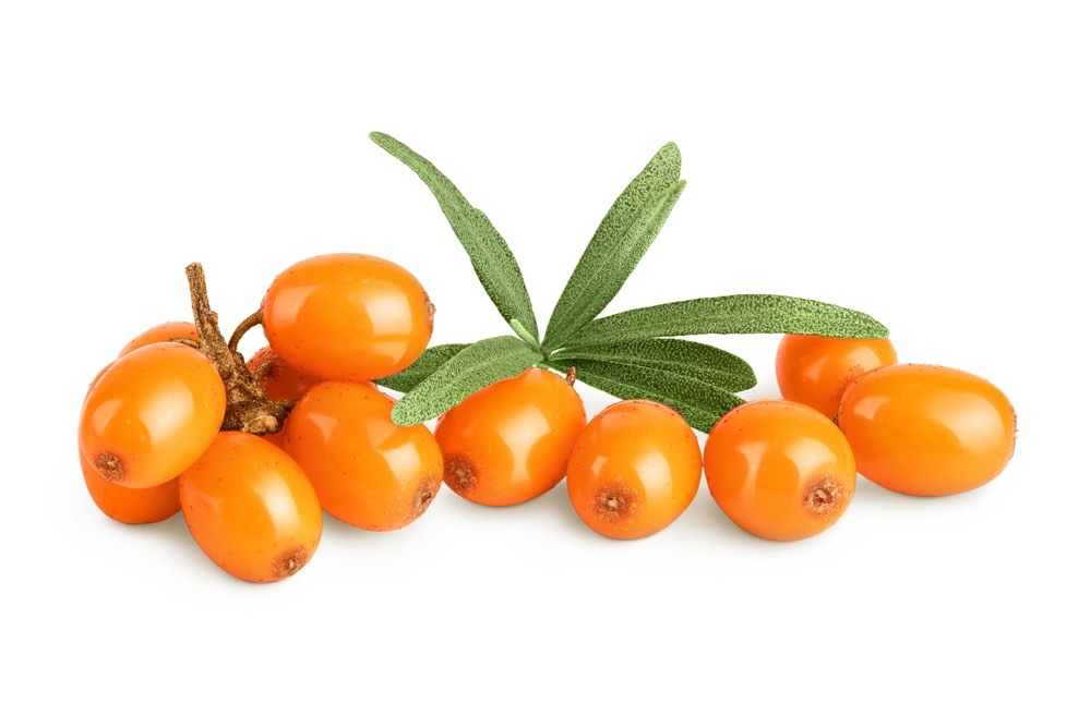 Piante medicinali per raffreddamento