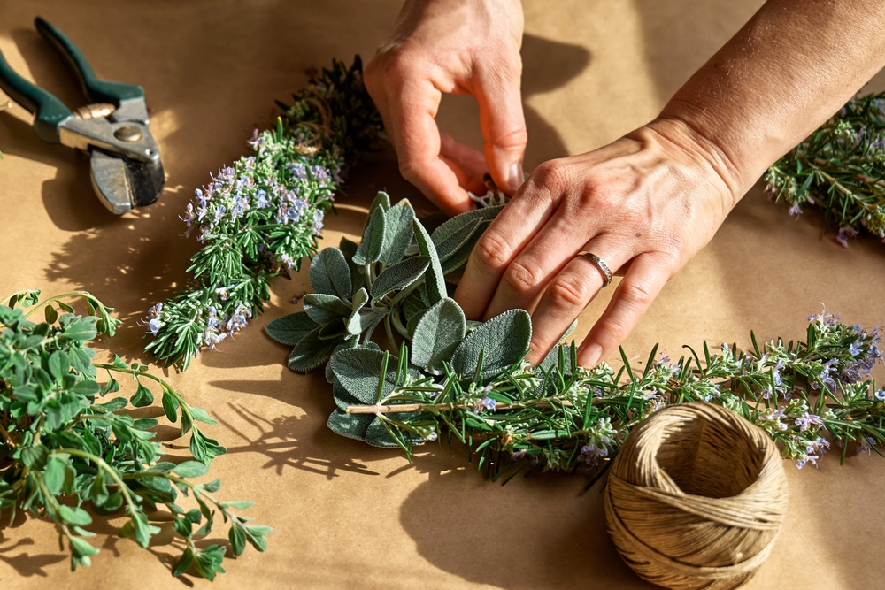 Piante medicinali per raffreddamento